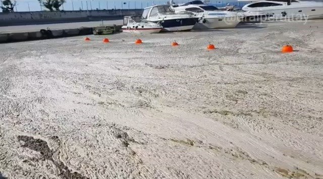Müsilajın boyutunu görüntüleyen doktor o anları anlattı