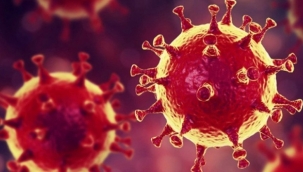 Prof. Dr. Uğur Şahin'den korkutan uyarı!