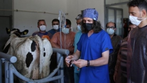 Şampiyonların sayısı bu teknoloji ile artacak