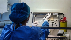 Sayılarda düşüş devam ediyor