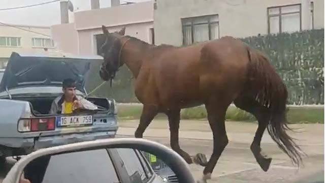 Tepki çeken görüntü