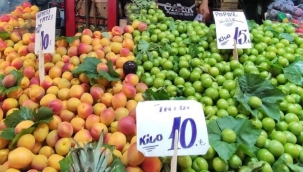 Ürün bollaştı, pazarın ateşi düştü
