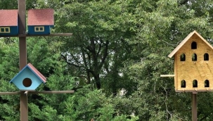 Yıldırım Belediyesi’nden minik dostlara yuva