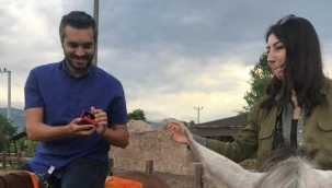 At üzerinde evlilik teklifi