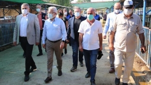 Başkan Erdem’den hayvan pazarına ziyaret
