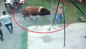 Boğanın saldırdığı adam hayatını kaybetti