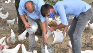 Çaresizlik üretimle umuda dönüşüyor