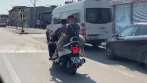Hayvan taşımacılığında sıradışı teknik