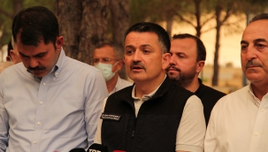 Milas ve Bodrum'da yangın kontrol altına alındı