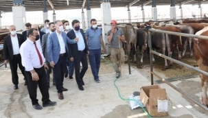 Modern hayvan pazarı ilk bayramda yüzleri güldürdü