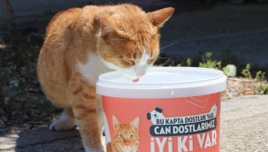 Nilüfer’de can dostlara yaşam suyu