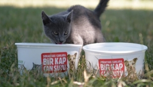 Osmangazi’de can dostlar emin ellerde