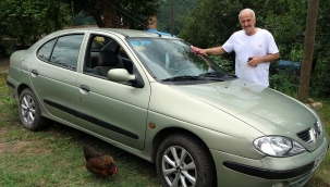 Trafik borcunu ödemek istedi tüm parasını kaybetti