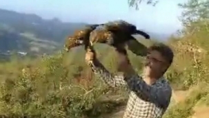 Yaralı şahinleri iyileştirip doğaya bıraktı