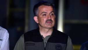 Bakan Bekir Pakdemirli yangınlarla ilgili son verileri açıkladı!