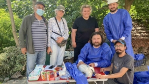 ‘Beş numara’ önce korkuttu, sonra sevindirdi