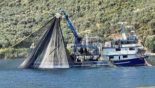Bursa'da denize deneme ağları atıldı