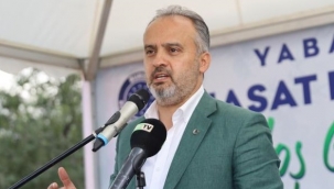 Büyükşehir destekliyor, çiftçi kazanıyor