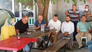 Dalında kuruyup dökülen kara incir için araştırma