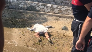 Denizden kadın cesedi çıktı