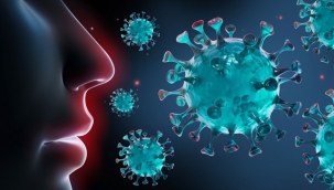 DSÖ Avrupa: 'Tahminlere göre 1 Aralık'a kadar Avrupa'da 236 bin ölüm bekleniyor'