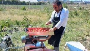 Ev ev gezip salça çıkartıyor