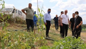 Gemlik Belediyesi ikinci serayı kuruyor