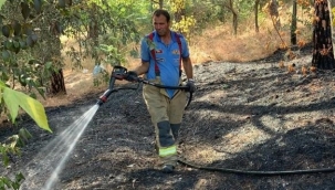 Hızlı müdahale ormanı kül olmaktan kurtardı