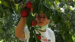 İnsanlık ölmemiş dedirten hareket