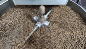 Keyifler de göç eder