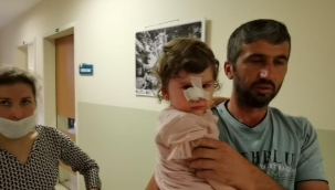 Köpeğin saldırısına uğrayan çocuğu babası zor kurtardı