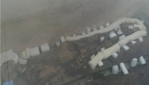 Mumya anne ve kızı ilk defa görüntülendi