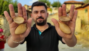Onlar gitmeden düğün başlamıyor