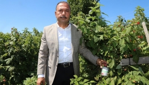 Sirke sineğine karşı köylülere tuzak dağıtıldı