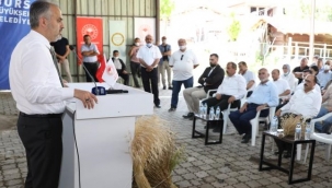 Siyez buğdayı ve çörek otunda hasat zamanı