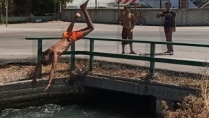 Tehlikeye balıklama atlayış