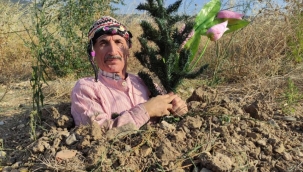 Toprağı kazıp kendini diri diri gömdü