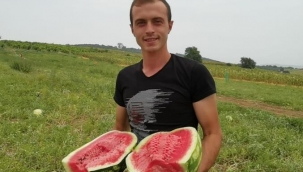 Üniversite öğrencisinin yetiştirdiği organik karpuzlara büyük talep