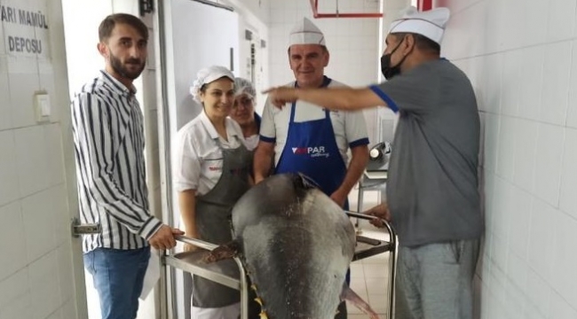 Balık sezonu sıkı denetimle başladı
