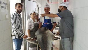 Balık sezonu sıkı denetimle başladı