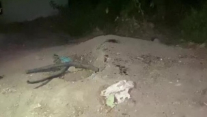 Evi kontrole giden enişte ve yeğenini hırsızlar bıçakladı