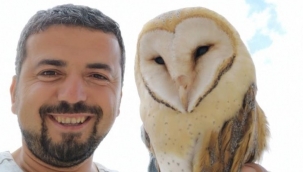 Evin içine baykuş girdi, herkes kaçtı, o kurtardı