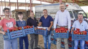 Karacabey’de kırmızı biber bereketi