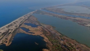 Karacabey longoz ormanlarında sonbahar güzelliği