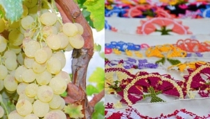 Müşküle üzümü ve iğne oyası artık tescilli