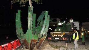 Yeni metro hattındaki ağaçlar kesilmek yerine taşındı