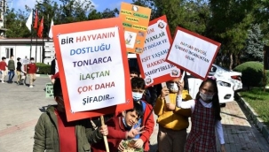 Barınak kapılarını hayvanseverlere açtı
