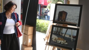 ‘Can dostlar’ objektiflere yansıdı