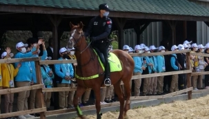 Dünya Hayvanları Koruma Gününe atlı polisler damga vurdu