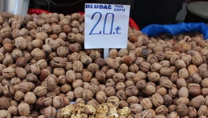 Geçen sene 50 lira olan ceviz, 20 liraya düştü